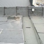 DSC00624